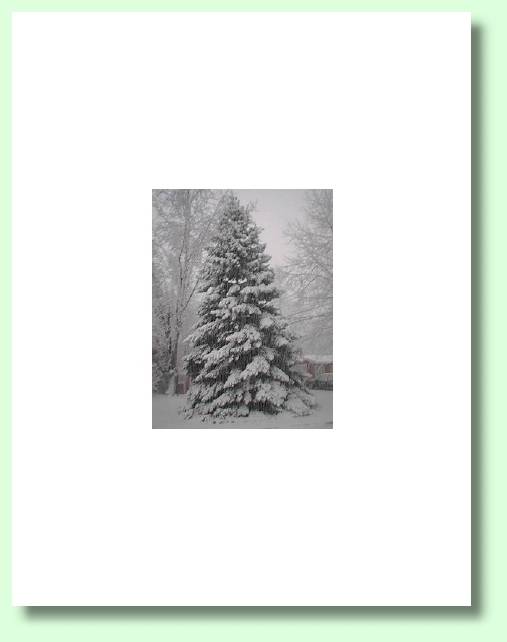 Back Cover of "Christmas Reflections" by Alan Harris
