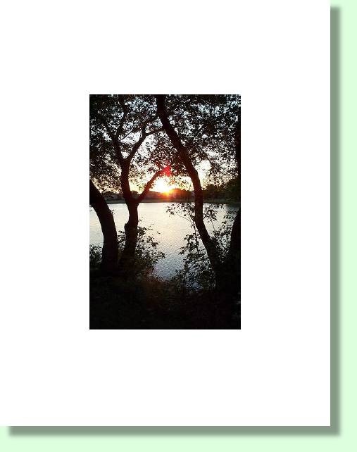 Back Cover of "Ponderables All Year" by Alan Harris