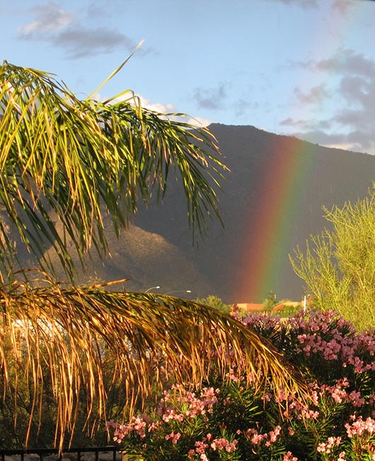 Rainbow over Tucson, Arizona, USA