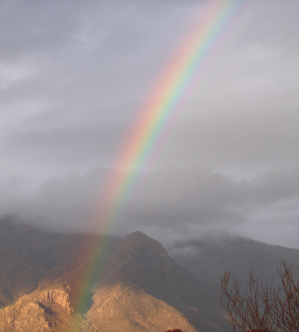 Rainbow over Tucson, Arizona, USA