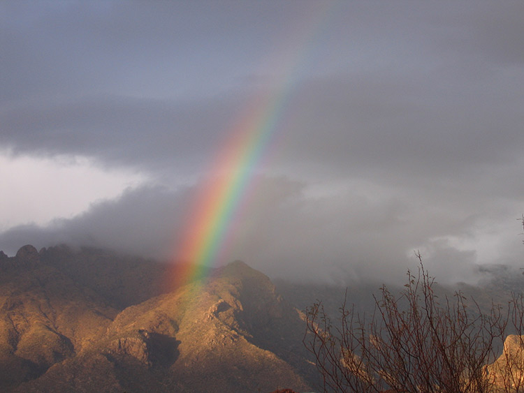 Rainbow over Tucson, Arizona, USA