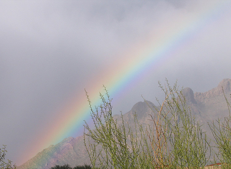 Rainbow over Tucson, Arizona, USA