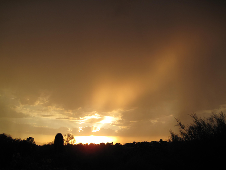 Skies photo 4