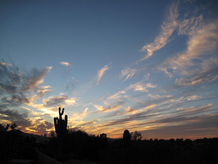 Skies photo 6