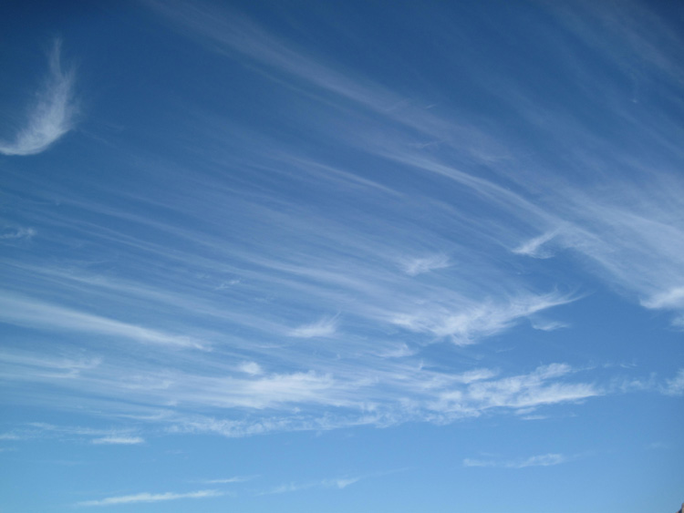 Skies photo 9
