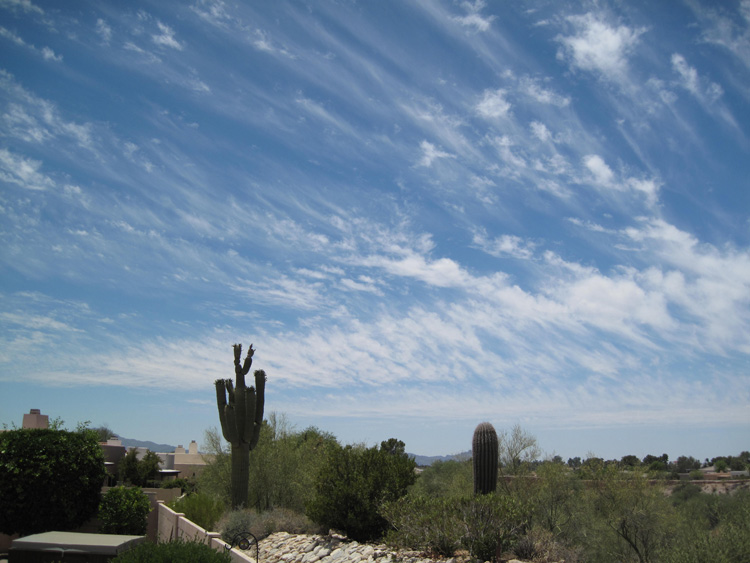 Skies photo 11