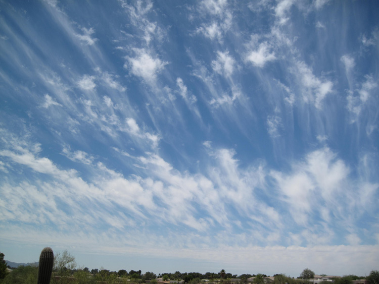 Skies photo 12