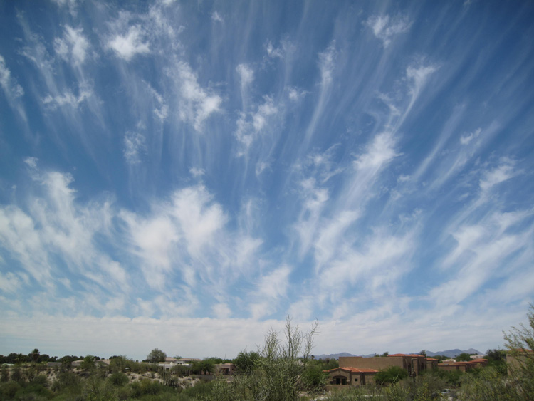 Skies photo 13