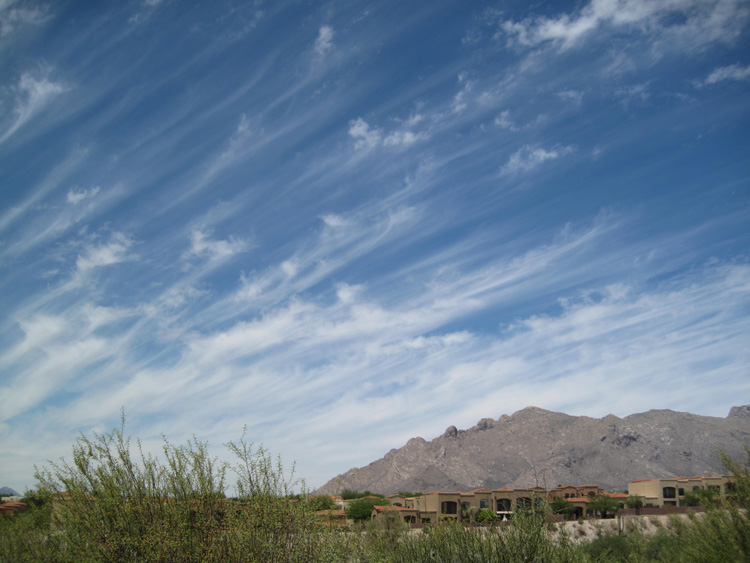 Skies photo 15