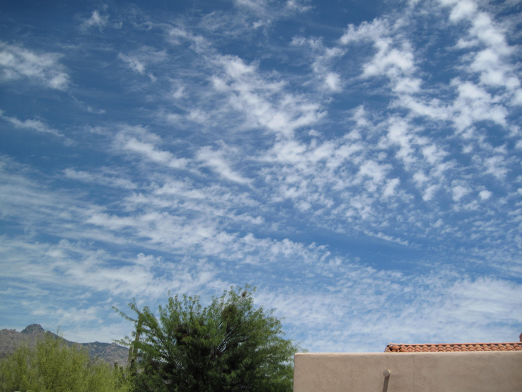 Skies photo 17