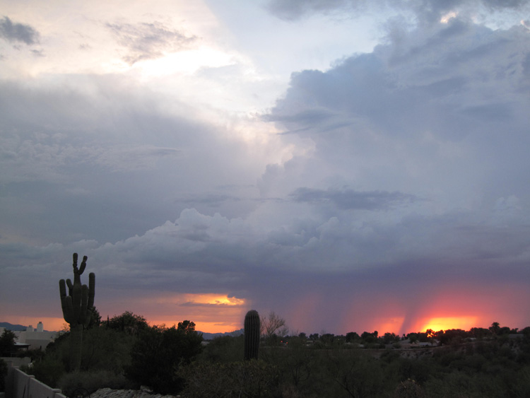 Skies photo 20