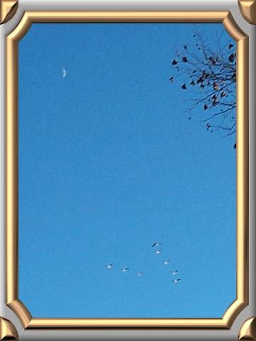 Sky Haiku