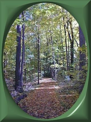 Path into Beauty