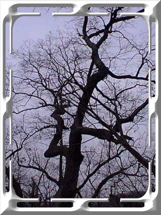 Grinch Tree