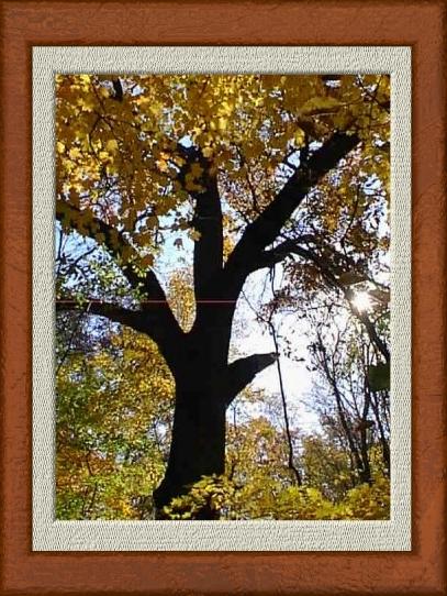 Sturdiness with Light Ray