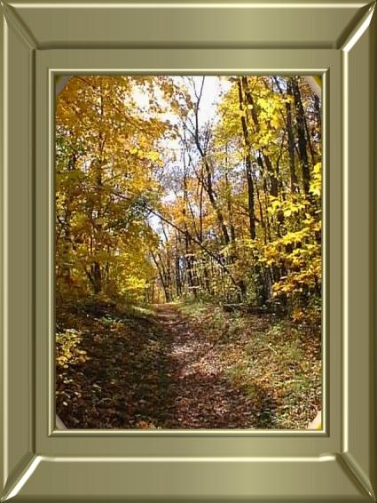 Yellow Path Invites