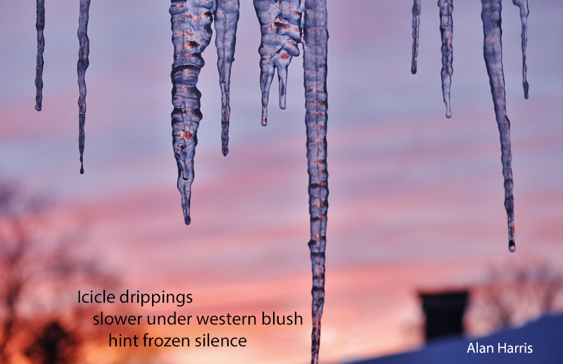 haiga, Icicle drippings