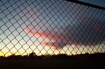 Brought to live within earth's tantalizing mesh