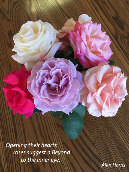 haiga, opening their hearts