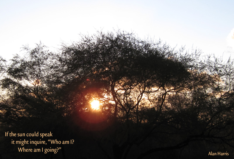 haiga, if the sun could speak