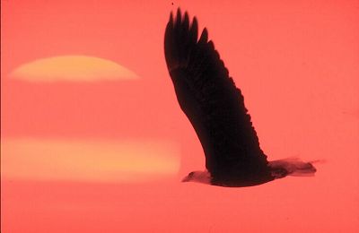 Pray past all suns